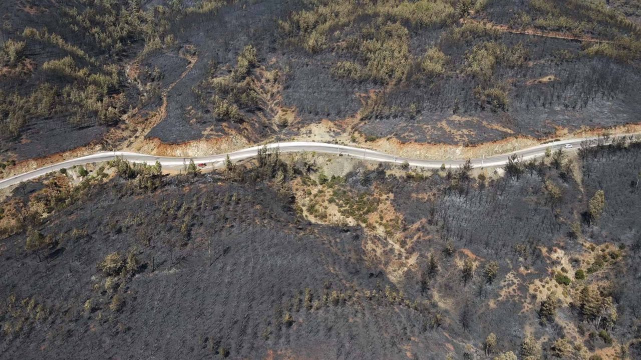 Köyceğiz'deki Yangın Ormanı Küle Çevirdi
