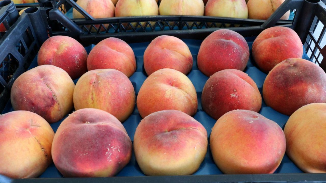 Pazardaki Şeftali Fiyatları Vatandaşı İsyan Ettirdi
